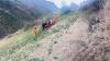 At least 14 dead after minibus rolls off mountain road in Peru