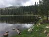 US Forest Service employees freed after 15-hour hostage ordeal