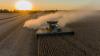 Global Grain Stocks Tighten Despite Large Harvest Expectations