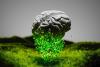 The AI Gold Rush Is Driving an Energy Crisis. Here’s What Every Business Needs to Know.