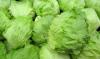Iceberg lettuce served at Taco Bell in 5 states linked to Cyclospora outbreak, says FDA