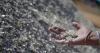 Pvt sector enters India's critical minerals race with Indonesia deal