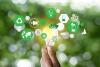 Business opinion: Eco-branding