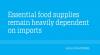 Essential food supplies remain heavily dependent on imports