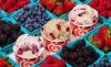Salt & Straw and SusieCakes Celebrate Summer with Sweet Treats