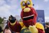 Travel Tips: FIFA finale watch parties, Bite of Seattle, Seafair Torchlight Parade, more (July 16-30)