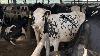 Virginia lawmakers hear farmer concerns during Southside agriculture tour