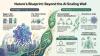 How nature could inspire AI’s next breakthrough