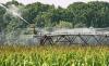 Egypt to Open Five Water Technology Schools With Italy