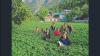 Model villages to come up in every block to promote natural farming: Shimla DC