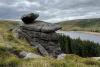 Calderdale Energy Park: Warning that wind farm scheme could set an ‘alarming precedent’ for integral wildlife and peatland