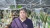 Climate change is stripping nutrients from food, global study with Israeli expert warns