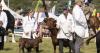Celebrate the best of agriculture and rural life by the sea