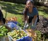 Rhode Island Energy Foundation announces new Grants to 15 Nonprofits