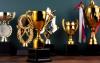 10 Reasons to Invest in High-Quality Custom Trophies
