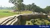 Mahasthangarh: Government moves SC to lift HC bar on development work