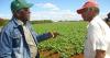 Valdés Mesa urges farmers to replace fuel with biomass and firewood to "save" Cuban agriculture
