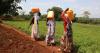 From Water to Wellness: Bridging the Survival Gap in Rural Ethiopia