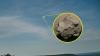 Rare meteorite that hit New Jersey home came from a briny alien world