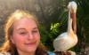 Students’ travel dreams in tatters after gap year provider collapses