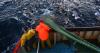 Britain's fishermen 'sold out' by Labour as EU vessels harvest stocks in UK waters