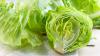 Taco Bell outbreak traced to lettuce from Mexican supplier