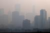 Wildfire smoke in Illinois also affects animals and their caretakers