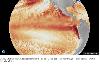 PM-led task force to coordinate Super El Niño response
