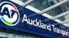 Auckland train services resume after vegetation fire forces...