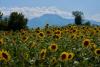 Mount Olympus, Home of the Ancient Greek Gods, Is a Candidate for the UNESCO World Heritage List (Photos)