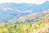 Chittagong Hill Tracts: Land disputes, climate change and obstacles to forest conservation