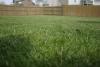 Delaware County man dies after riding mower accident