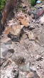 Deadly Landslide in China Leaves Eight Dead, Dozens Missing as Massive Rescue Effort Continues