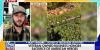 Veteran-owned business supports Gold Star families through custom fishing rods