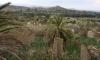 Nature thrives in Cyprus’s forgotten buffer zone