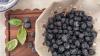 My So-Connecticut Life: The Sweetest Part of Summer Is Picking Blueberries Down the Road