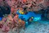 A diving trip to the Cayman Islands became a ‘side quest’ to keep life interesting