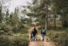 Five dog-friendly hiking trails in Cape Town for your next outdoor adventure