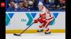 NHL Offer Sheet Rumor: Carolina Hurricanes could target Detroit Red Wings $8.7 million defenseman Simon Edvinsson this offseason