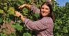 Adirondack Winery president appointed Wine and Grape Foundation board