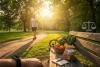 Study: Lifestyle Interventions Key to Long-Term Weight Maintenance
