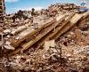 Venezuela earthquake death toll rises