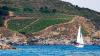 Are Wines From Islands Special? The Island Wines Summit Answers