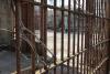 Rights group condemns abduction of government critics by Uganda military