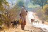 Climate justice for a just world