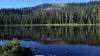 US Forest Service workers abducted at gunpoint in California forest, rescued after 15 hours