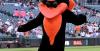 Orioles minor league recap 7/18: Boston Bateman injured in Keys loss