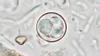 Cyclosporiasis investigation points to at least one cause involving areas east of Kansas
