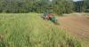 LSU AgCenter field day highlights research protecting Louisiana sugarcane