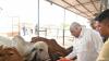 Gujarat CM Bhupendra Patel visits farms to promote natural farming